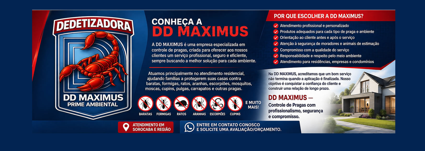 DD MAXIMUS